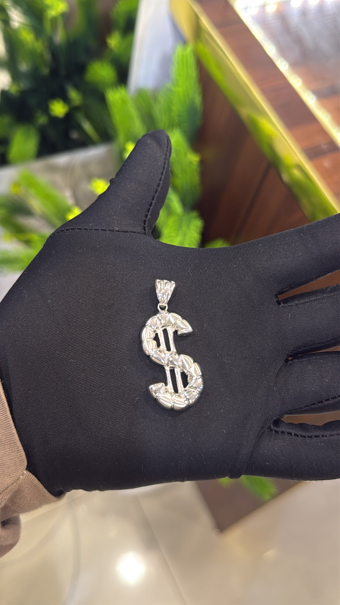 Dollar Sign